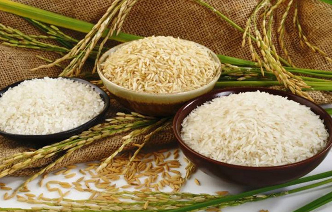 KKM Galaxy Import  Export Pvt Ltd
